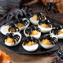 huevos arácnidos huevos arácnidos